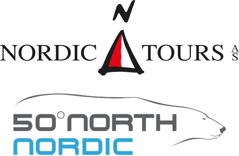 North Travel logo